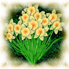Spring is Coming!